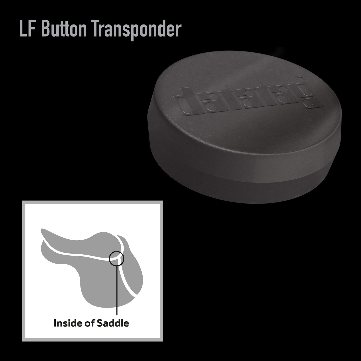 Equine Transponder